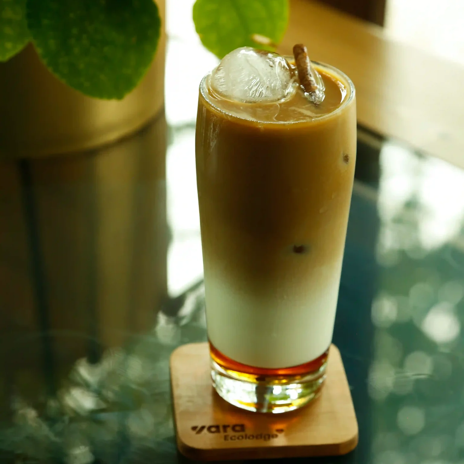 نوشیدنی های جذاب در اقامتگاه یارا